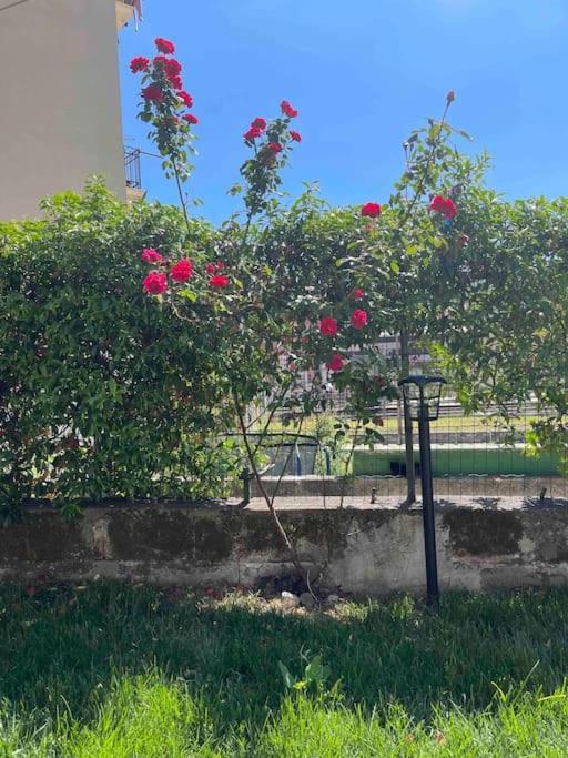 Casa Ale 5 Terre Guest House Con Giardino 斯培西亚 外观 照片
